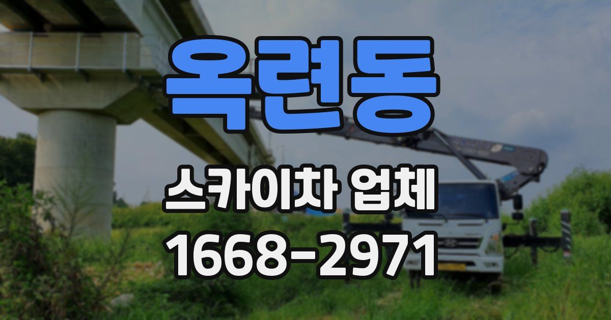 옥련동 스카이차 업체