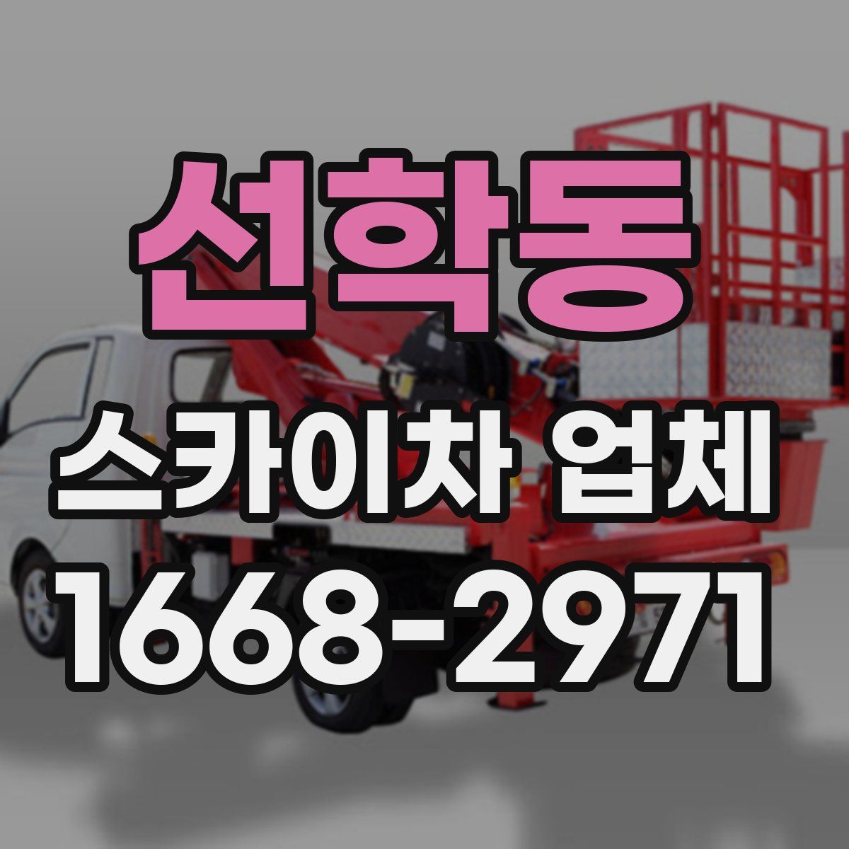 선학동 스카이차 업체
