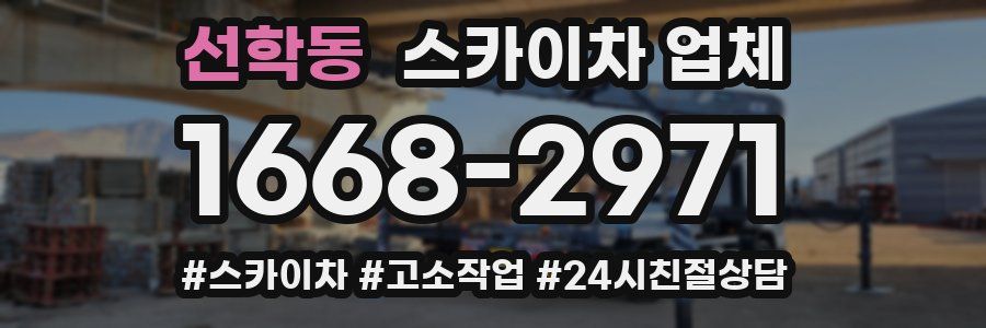 선학동 스카이차 업체