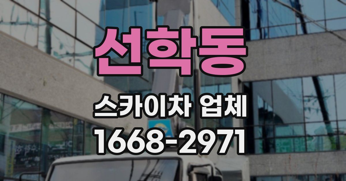 선학동 스카이차 업체