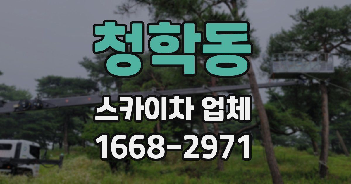 청학동 스카이차 업체