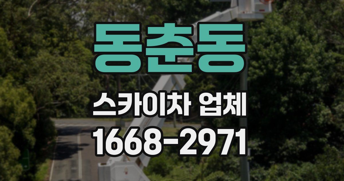 동춘동 스카이차 업체