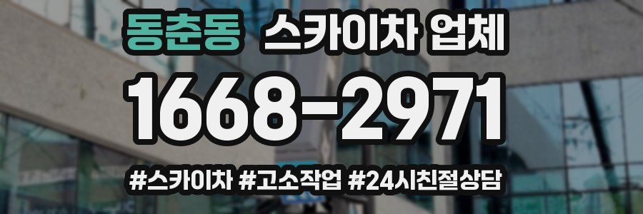 동춘동 스카이차 업체