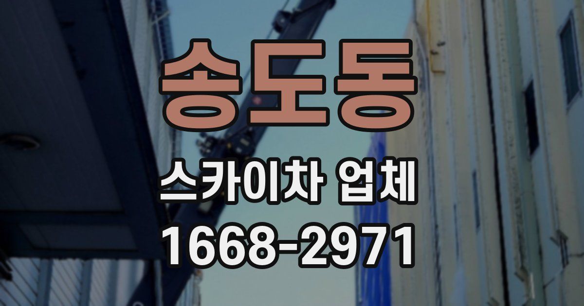 송도동 스카이차 업체