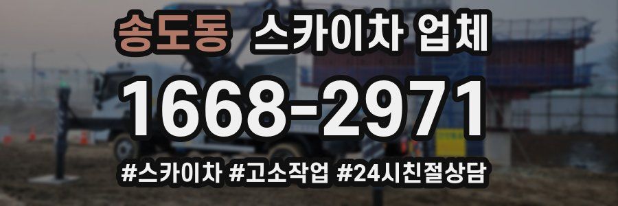송도동 스카이차 업체
