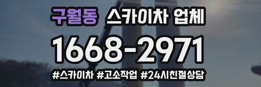 구월동 스카이차 업체