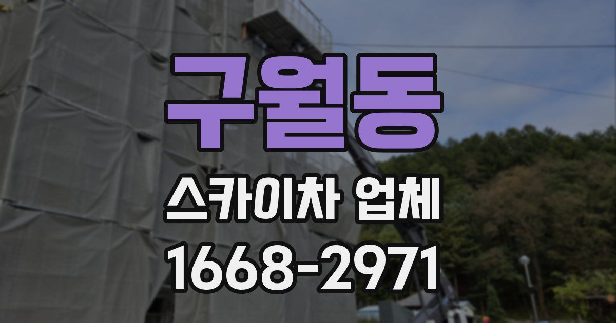 구월동 스카이차 업체