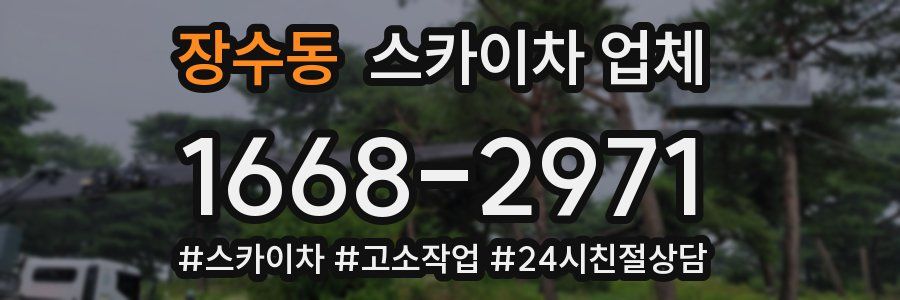 장수동 스카이차 업체
