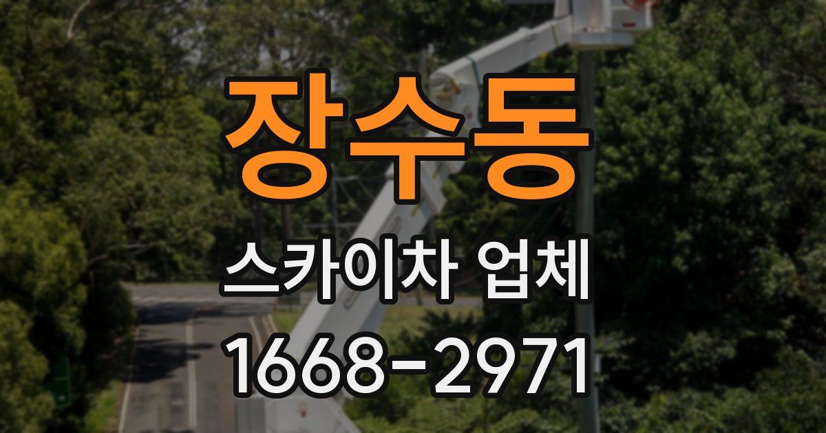 장수동 스카이차 업체