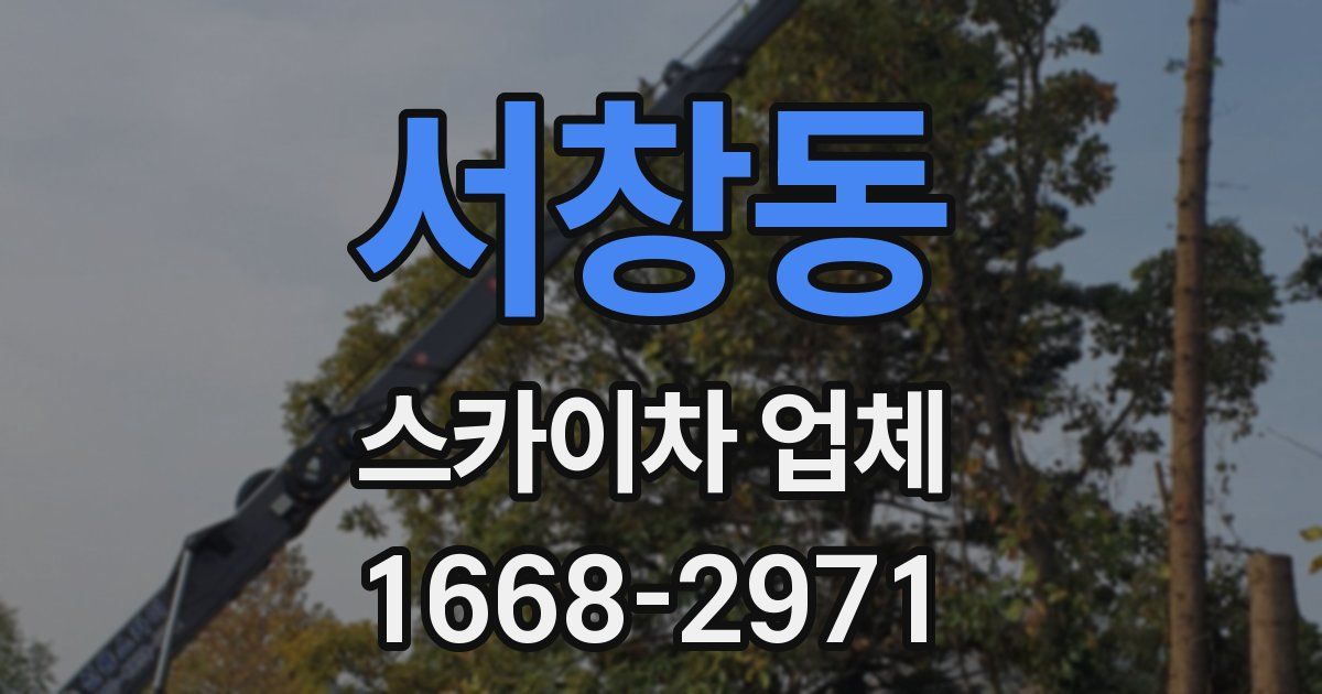 서창동 스카이차 업체