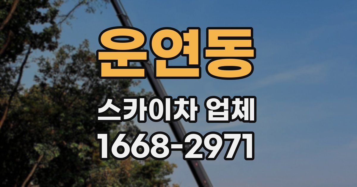 운연동 스카이차 업체