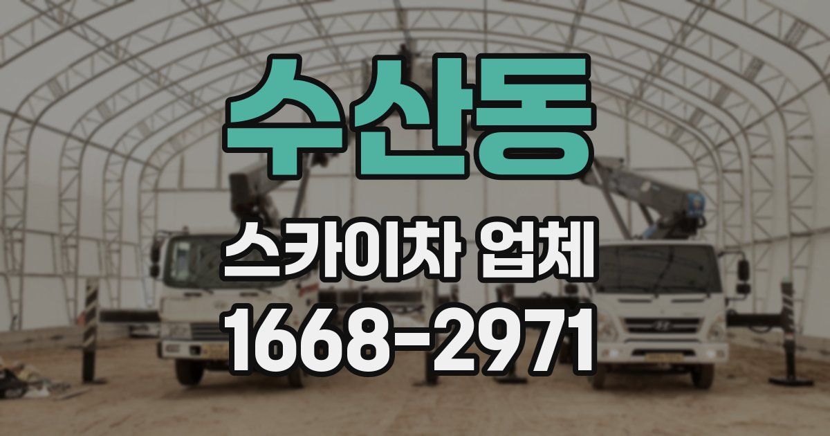 수산동 스카이차 업체