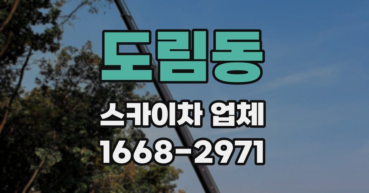 도림동 스카이차 업체