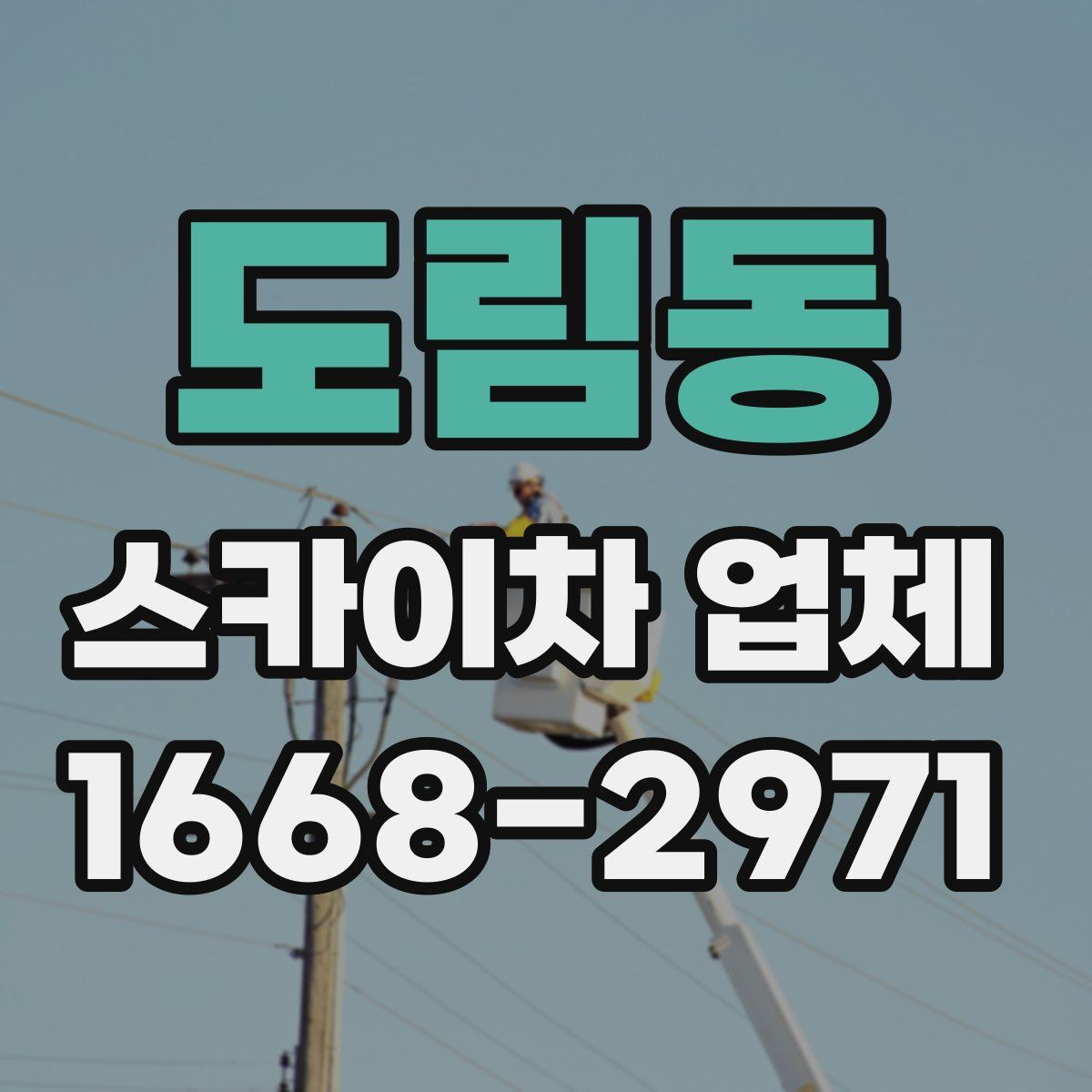 도림동 스카이차 업체