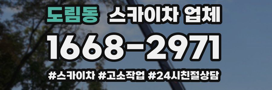 도림동 스카이차 업체