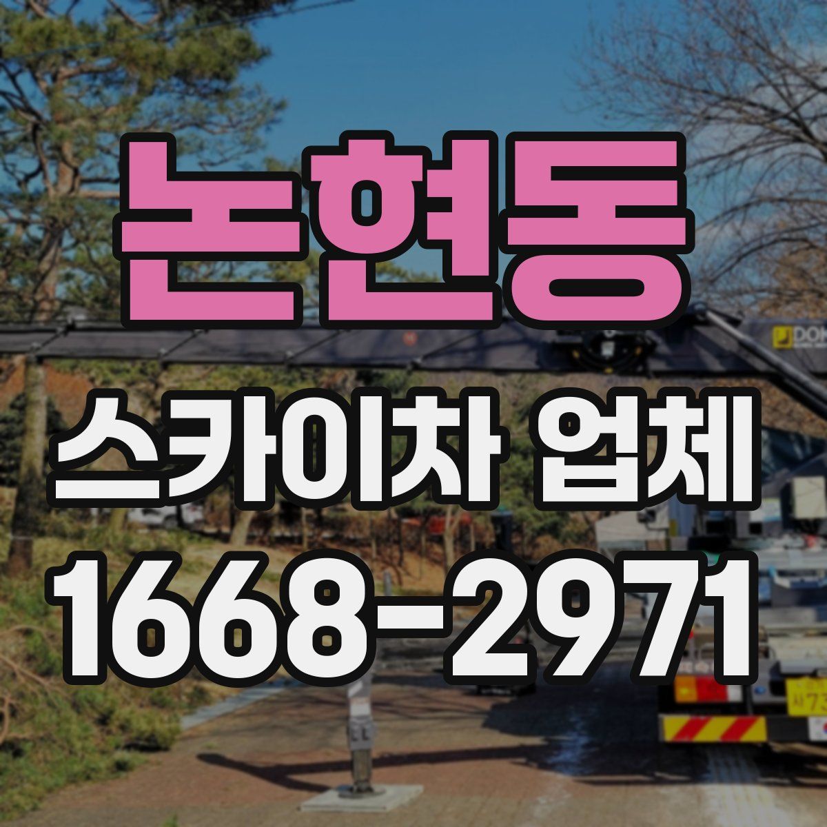 논현동 스카이차 업체