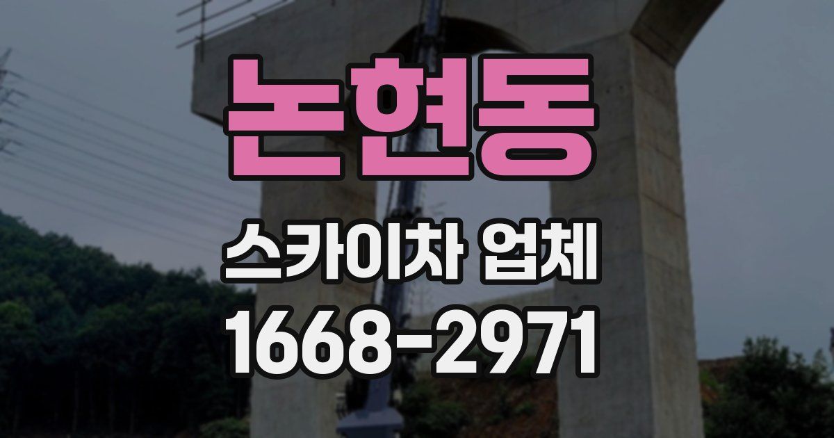논현동 스카이차 업체