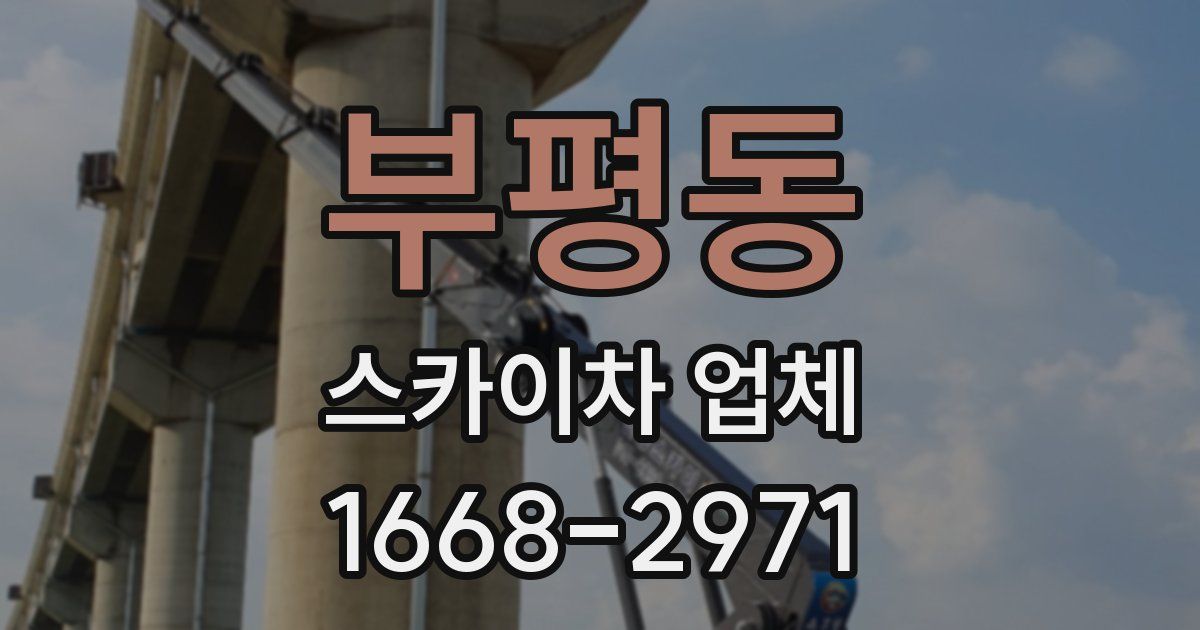 부평동 스카이차 업체