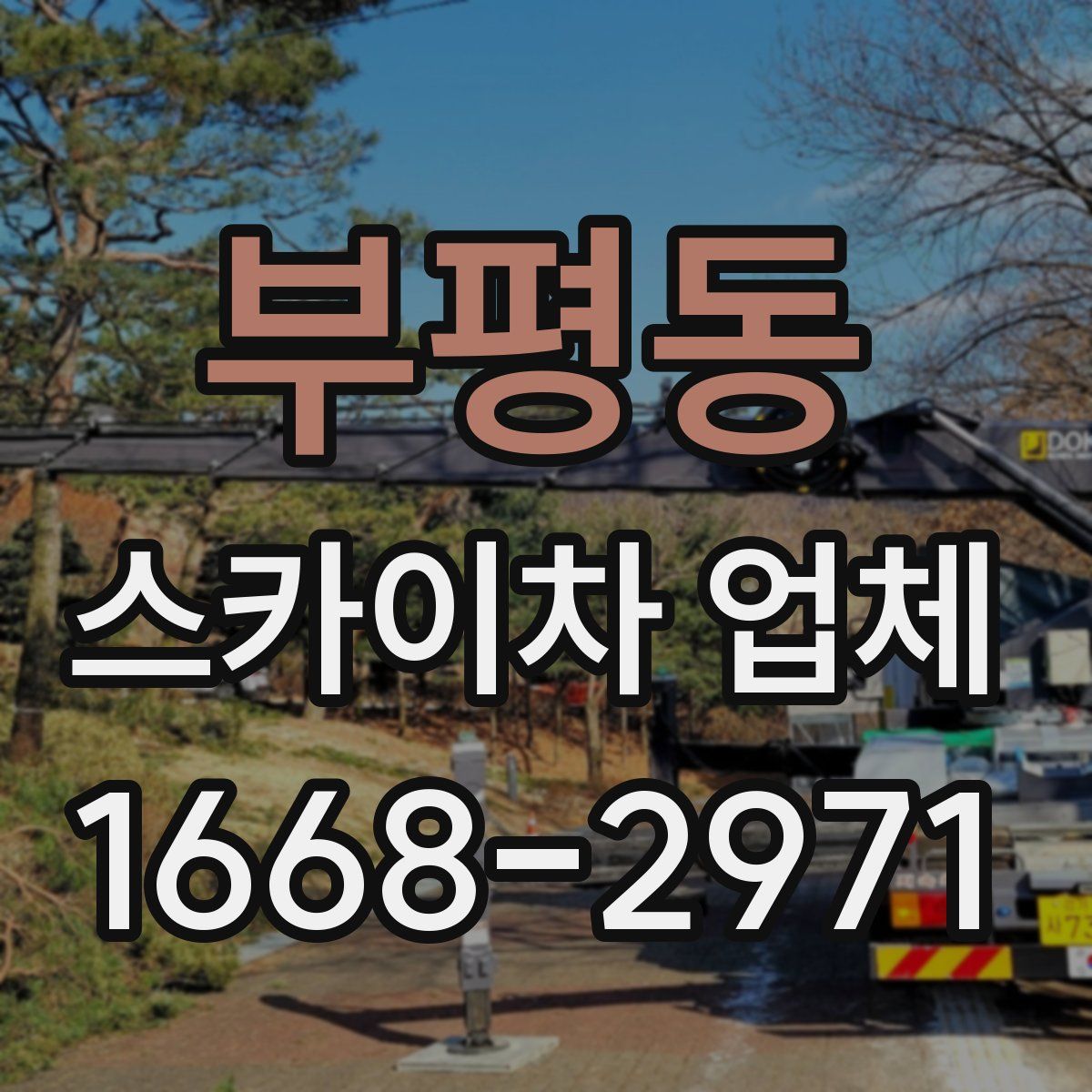 부평동 스카이차 업체