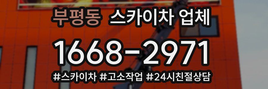 부평동 스카이차 업체