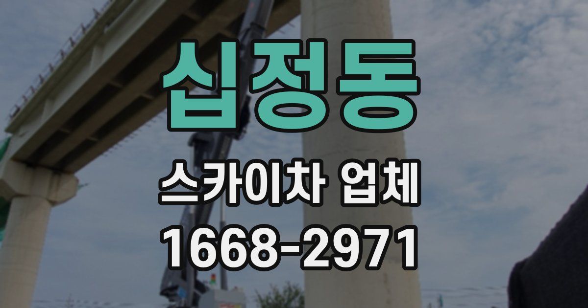 십정동 스카이차 업체