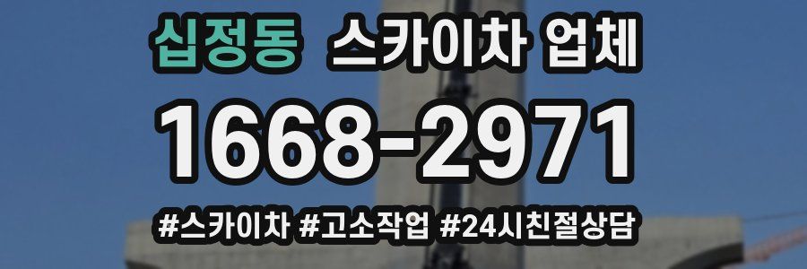 십정동 스카이차 업체