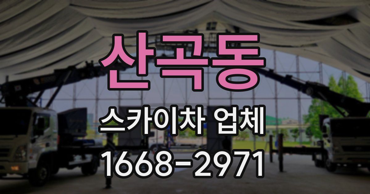 산곡동 스카이차 업체