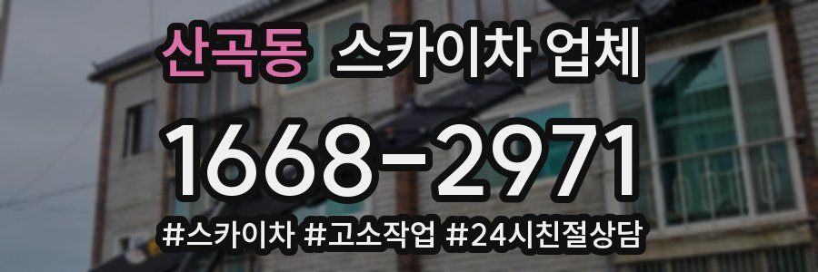 산곡동 스카이차 업체