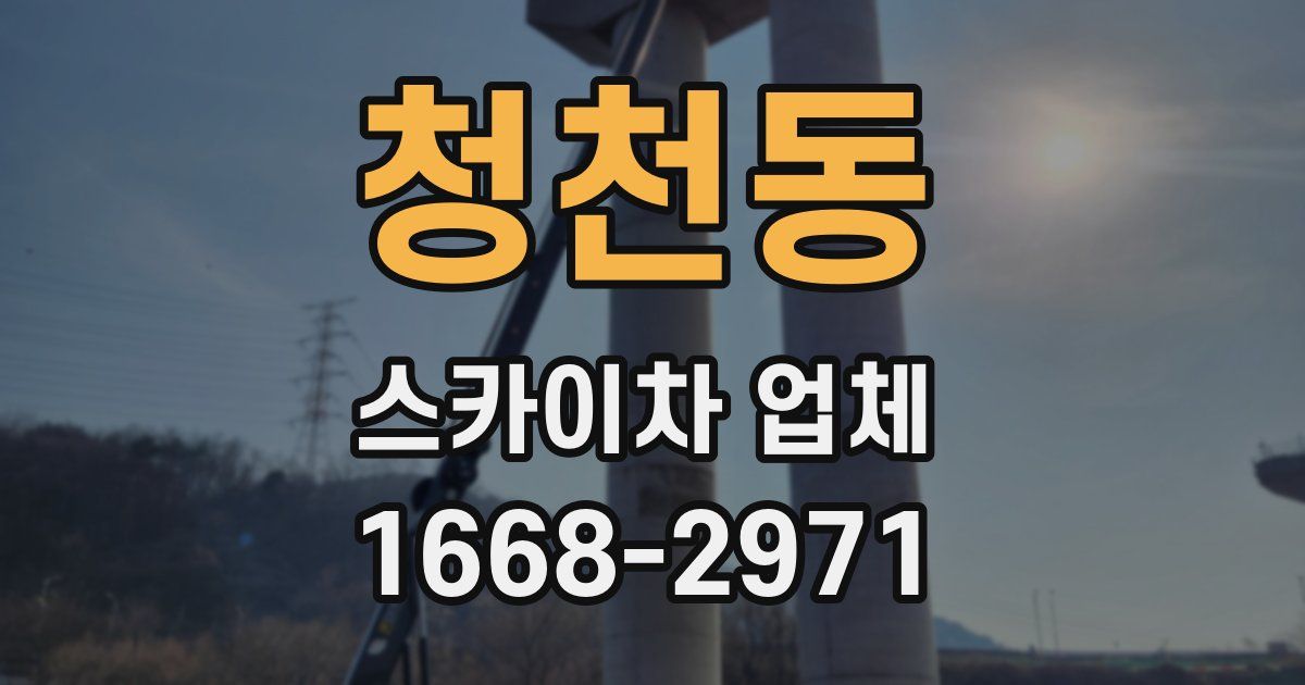 청천동 스카이차 업체