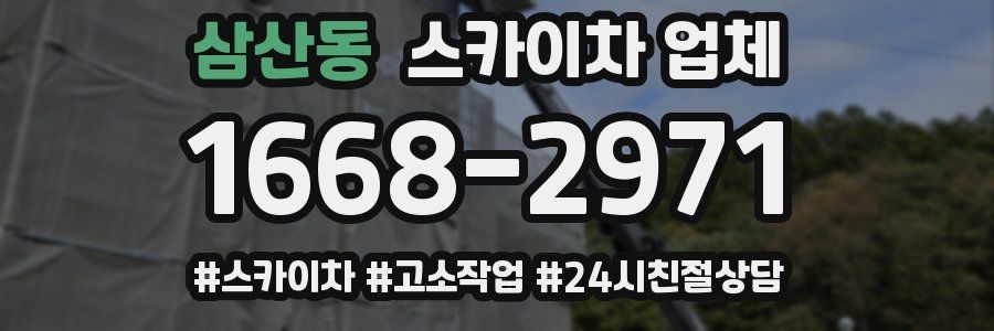 삼산동 스카이차 업체