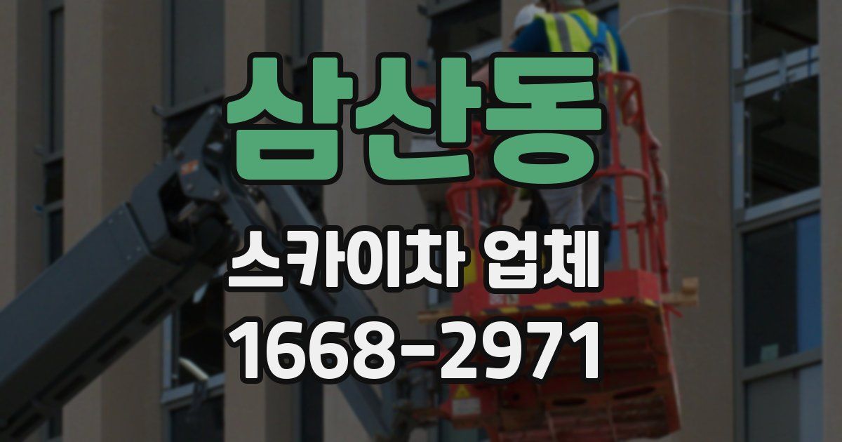 삼산동 스카이차 업체