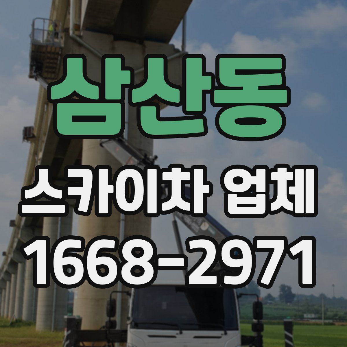 삼산동 스카이차 업체