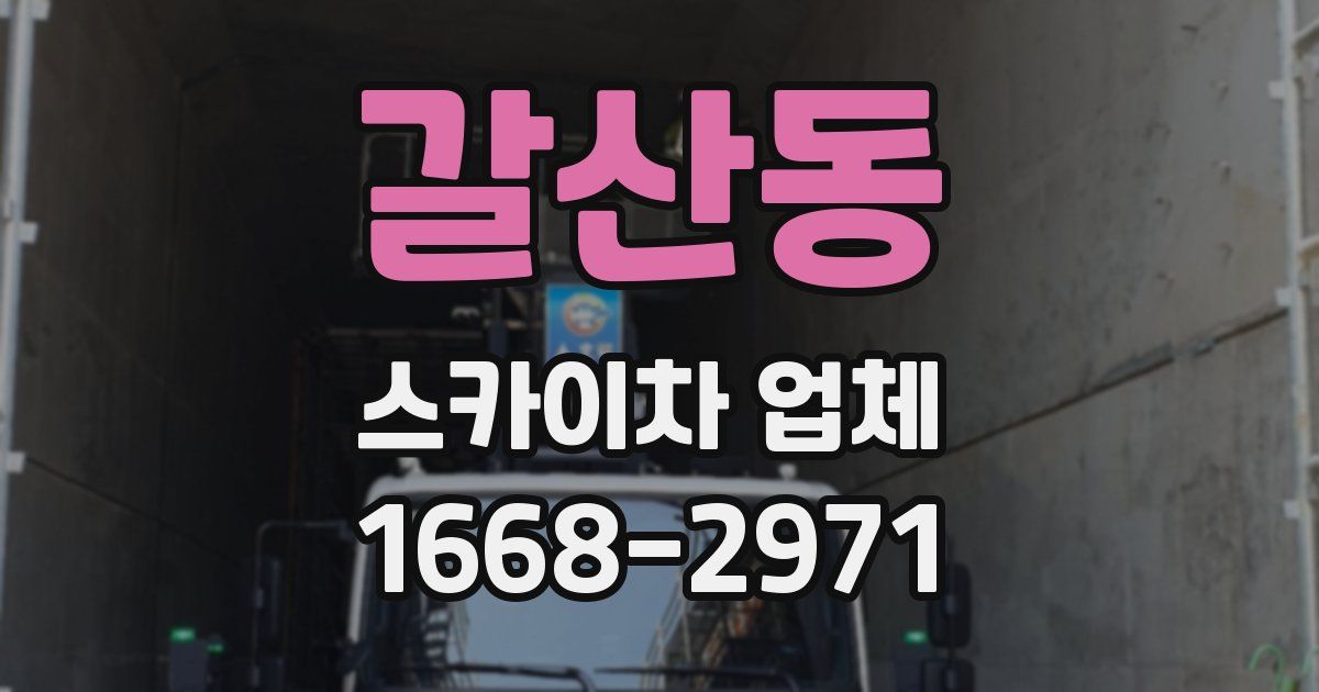 갈산동 스카이차 업체