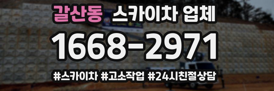 갈산동 스카이차 업체