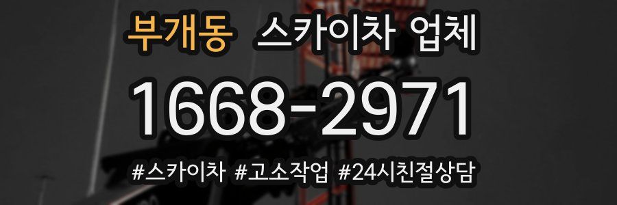부개동 스카이차 업체