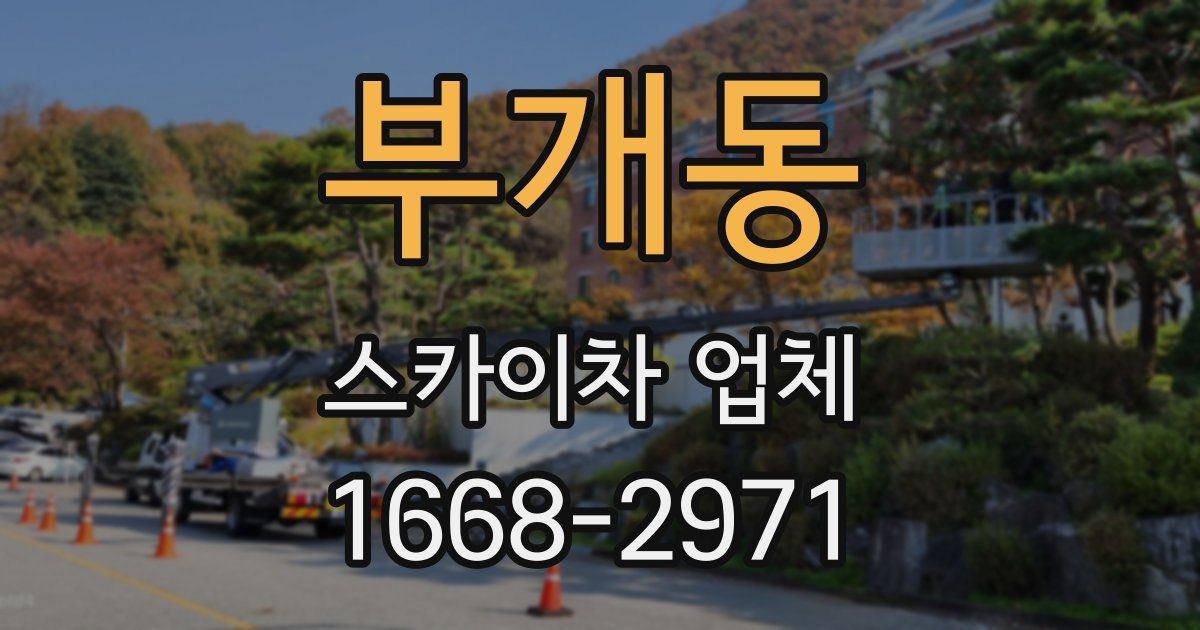 부개동 스카이차 업체