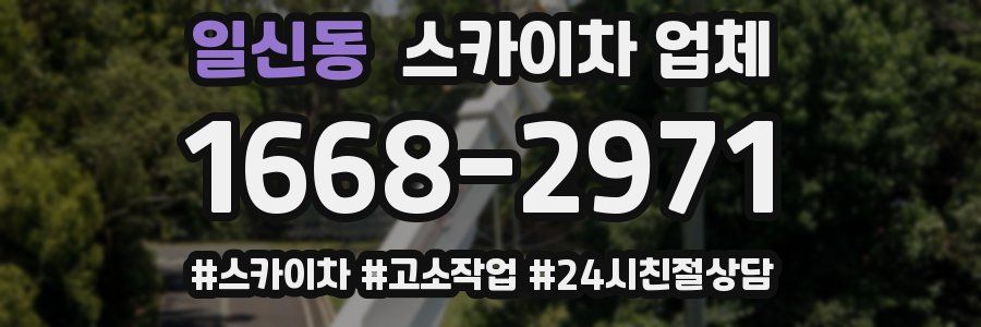일신동 스카이차 업체