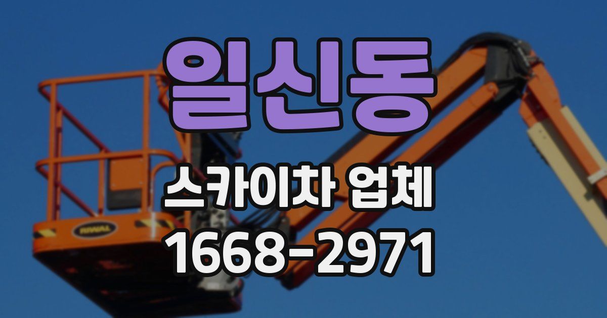 일신동 스카이차 업체
