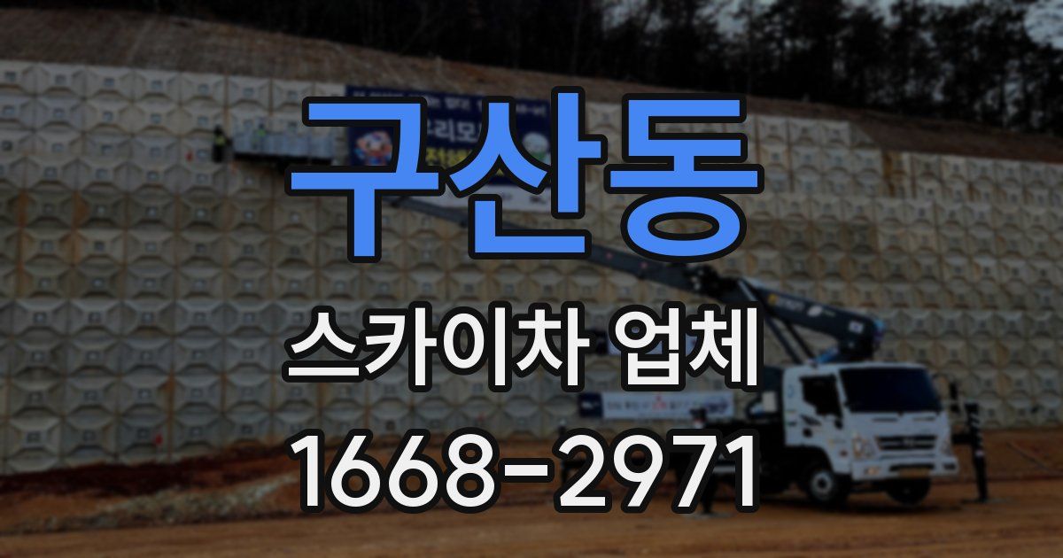 구산동 스카이차 업체