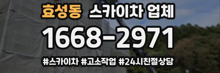 효성동 스카이차 업체