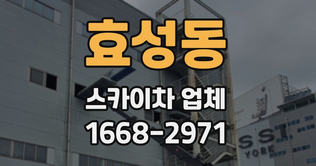 효성동 스카이차 업체