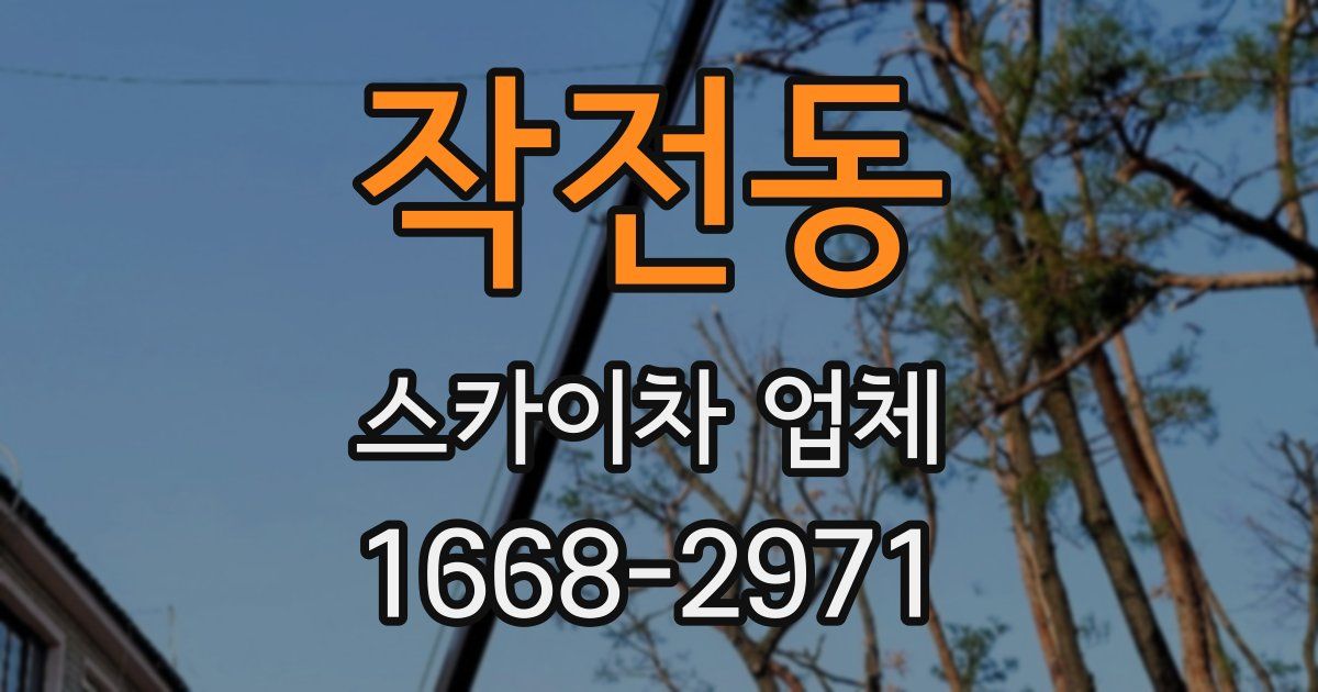 작전동 스카이차 업체