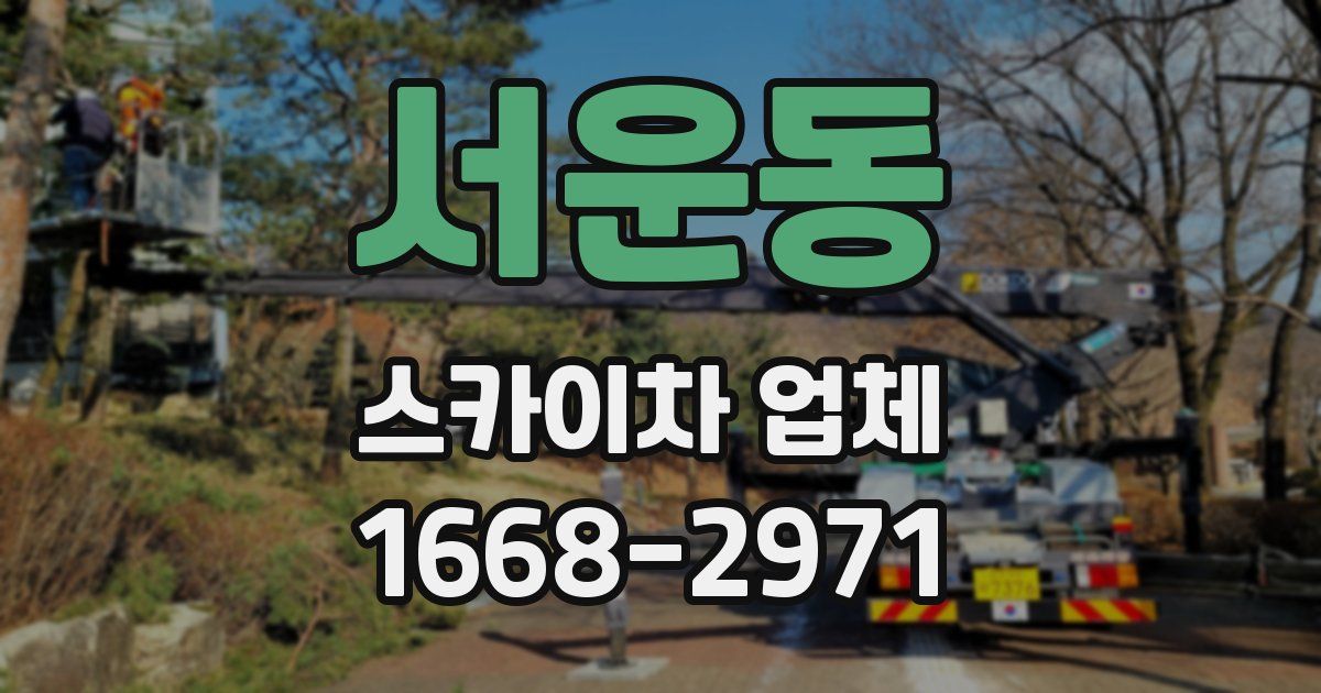 서운동 스카이차 업체