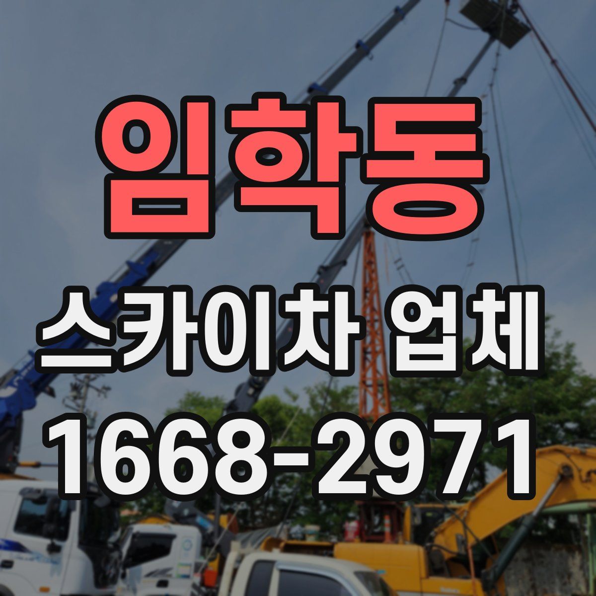 임학동 스카이차 업체