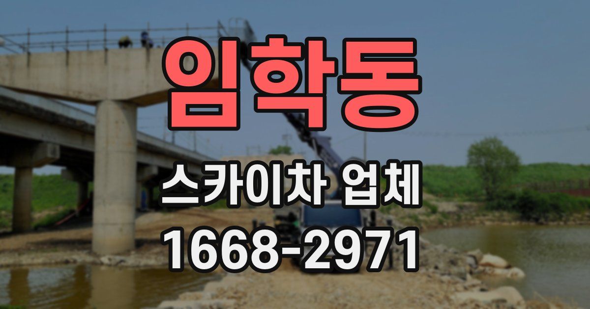 임학동 스카이차 업체