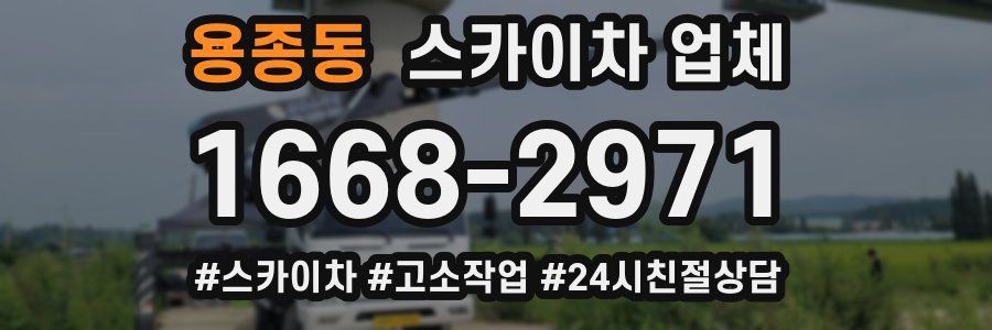 용종동 스카이차 업체