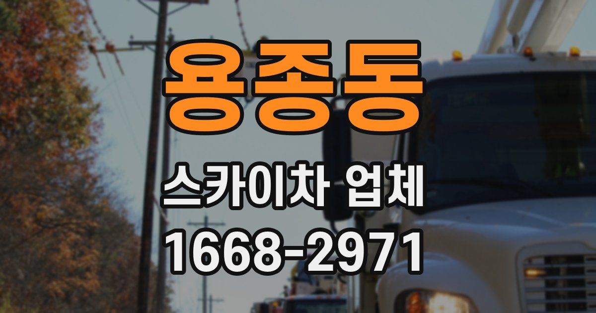 용종동 스카이차 업체