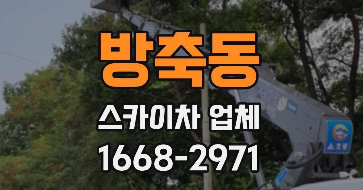 방축동 스카이차 업체