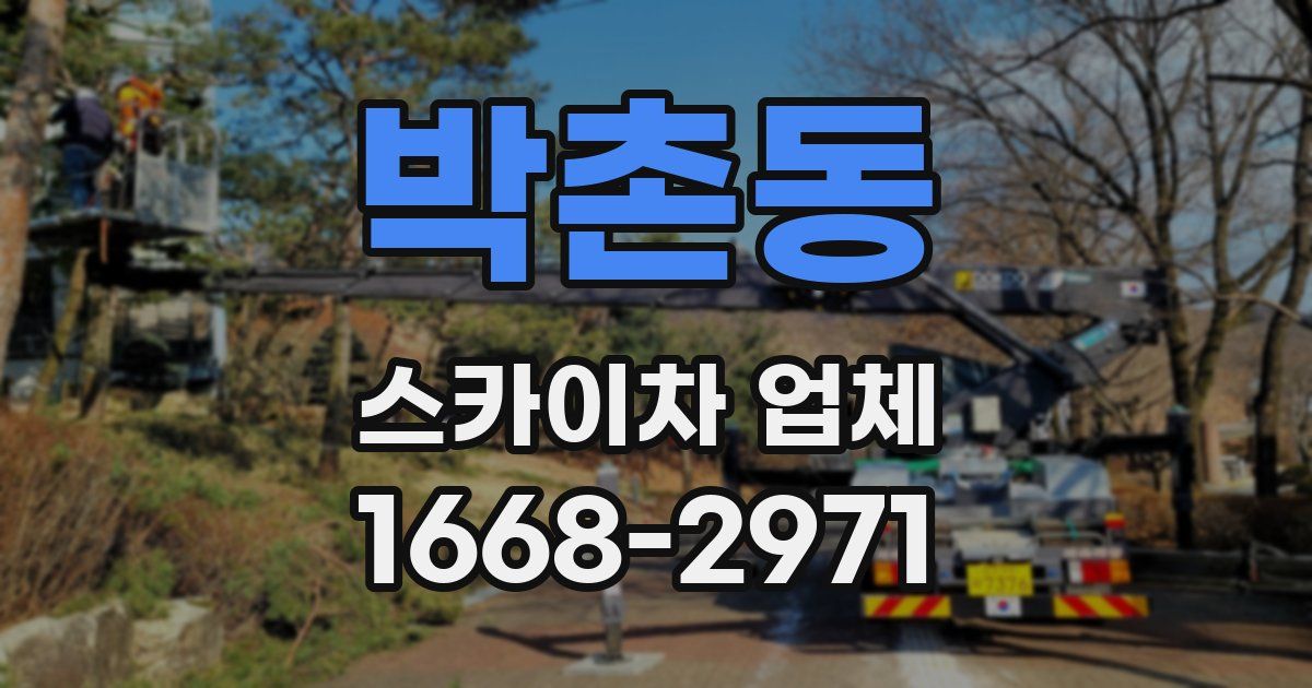 박촌동 스카이차 업체