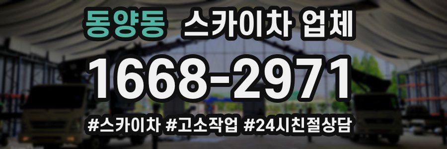 동양동 스카이차 업체
